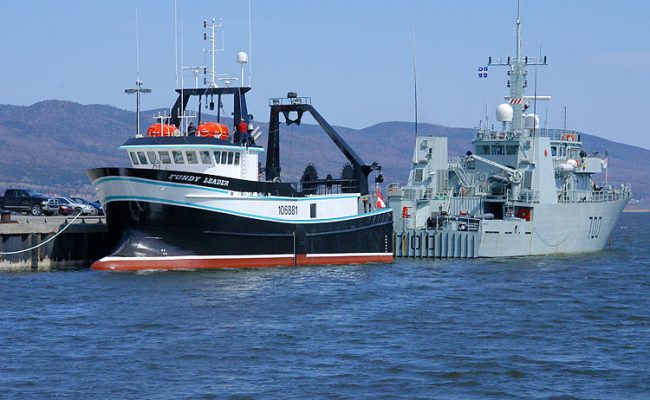 fundy3