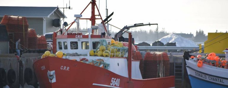 C.R.R Bateau Crabier