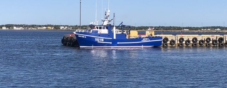 Gaetan H. hull extension