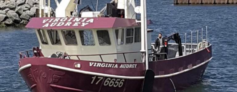 ex Town Side, now Virginia Audrey